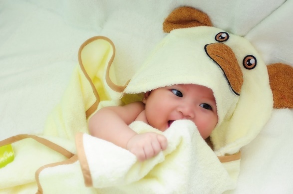 khăn bông Mollis ảnh 5 khan bong Mollis anh 5