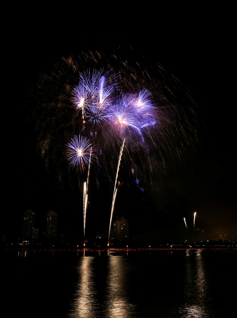 Tập đoàn Sun Group, Lễ hội pháo hoa quốc tế Đà Nẵn ảnh 2 Tap doan Sun Group, Le hoi phao hoa quoc te Da Nan anh 2