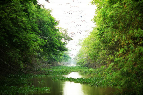 Culture Explorer anh 1