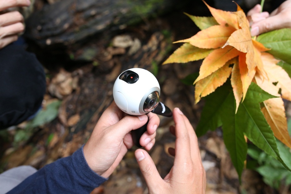 cung Phuong Ly check-in Da Lat anh 9