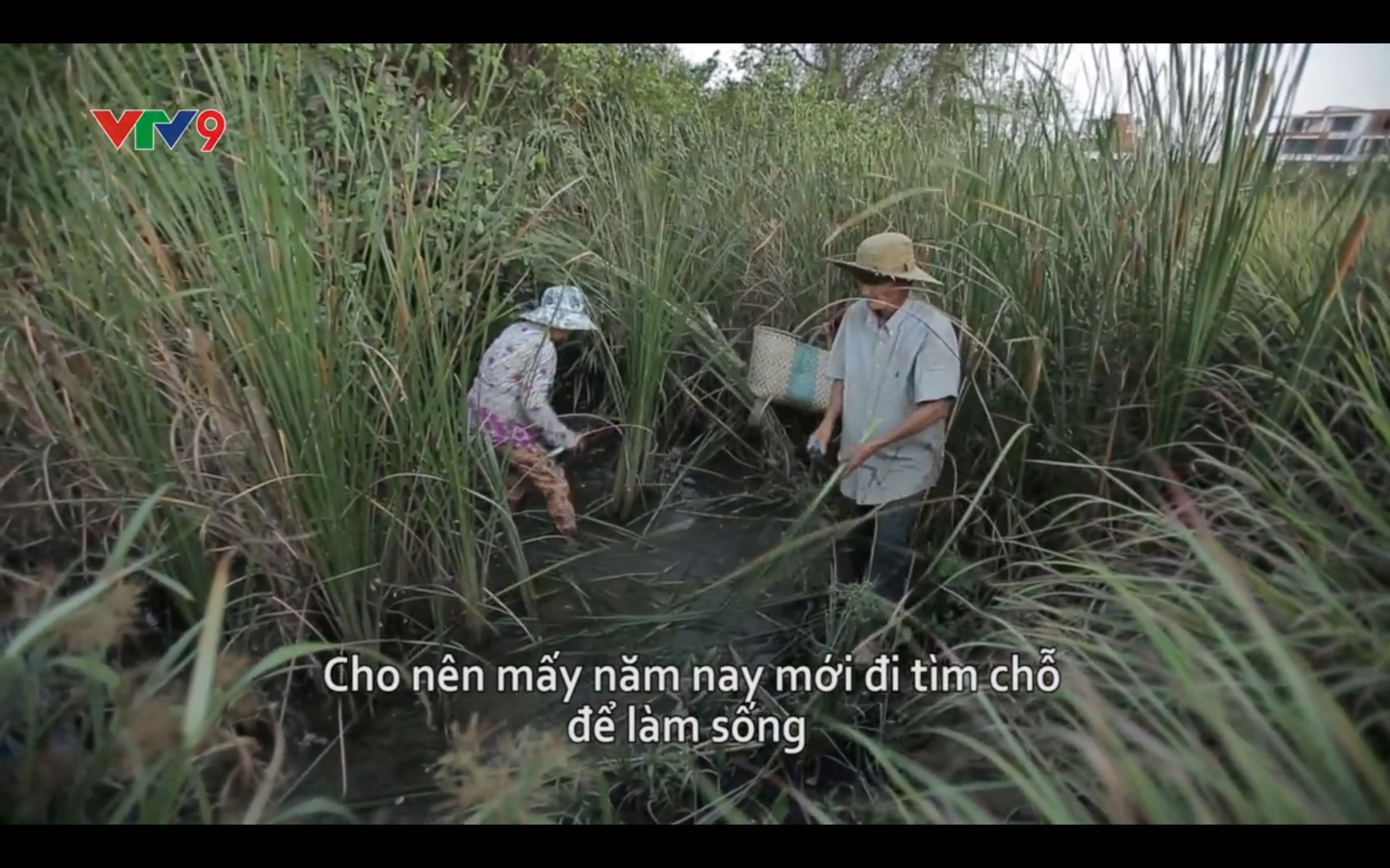 Tân Hiệp Phát ảnh 3 Tan Hiep Phat anh 3
