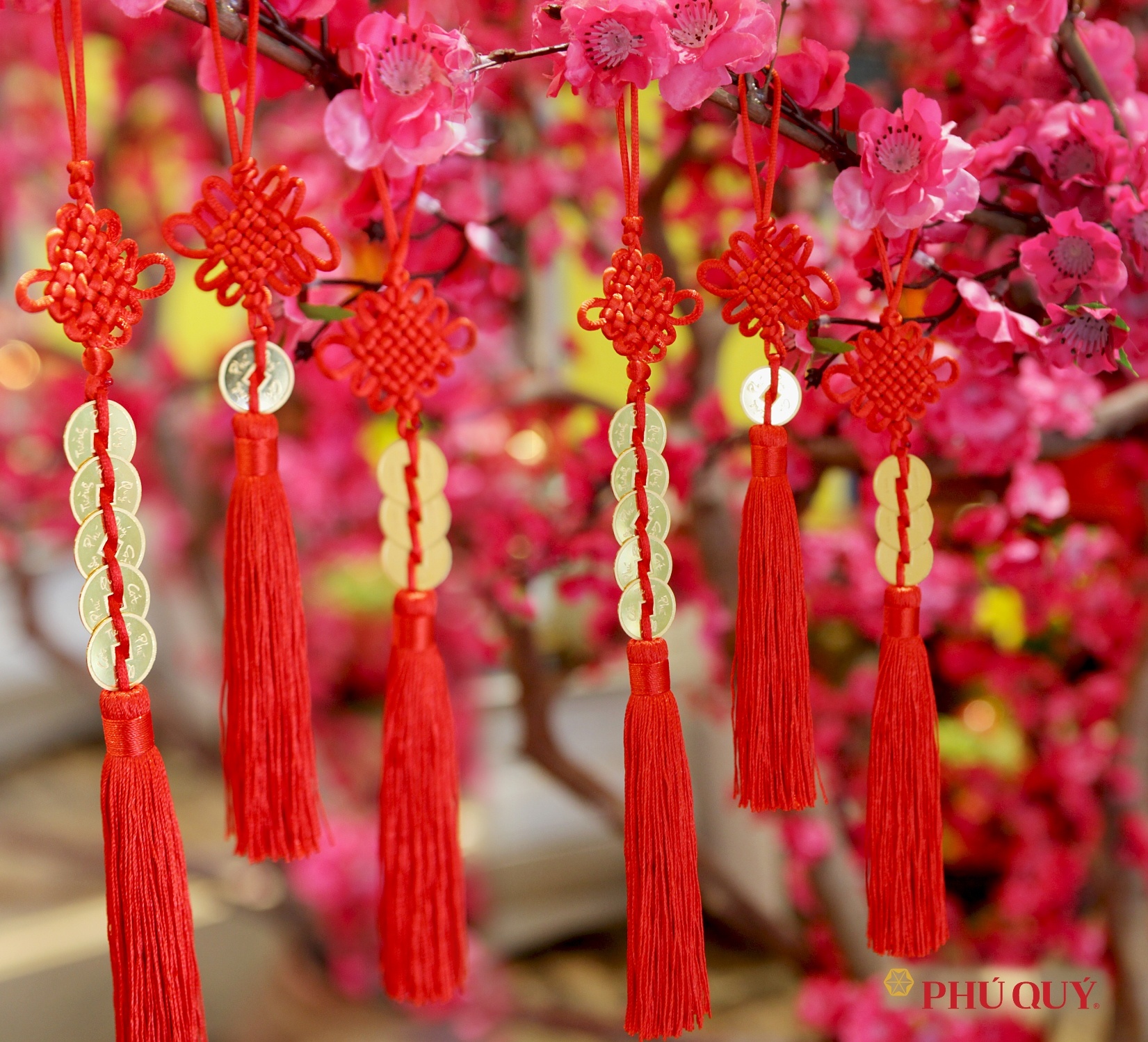 vàng bạc Phú Quý ảnh 2 vang bac Phu Quy anh 2