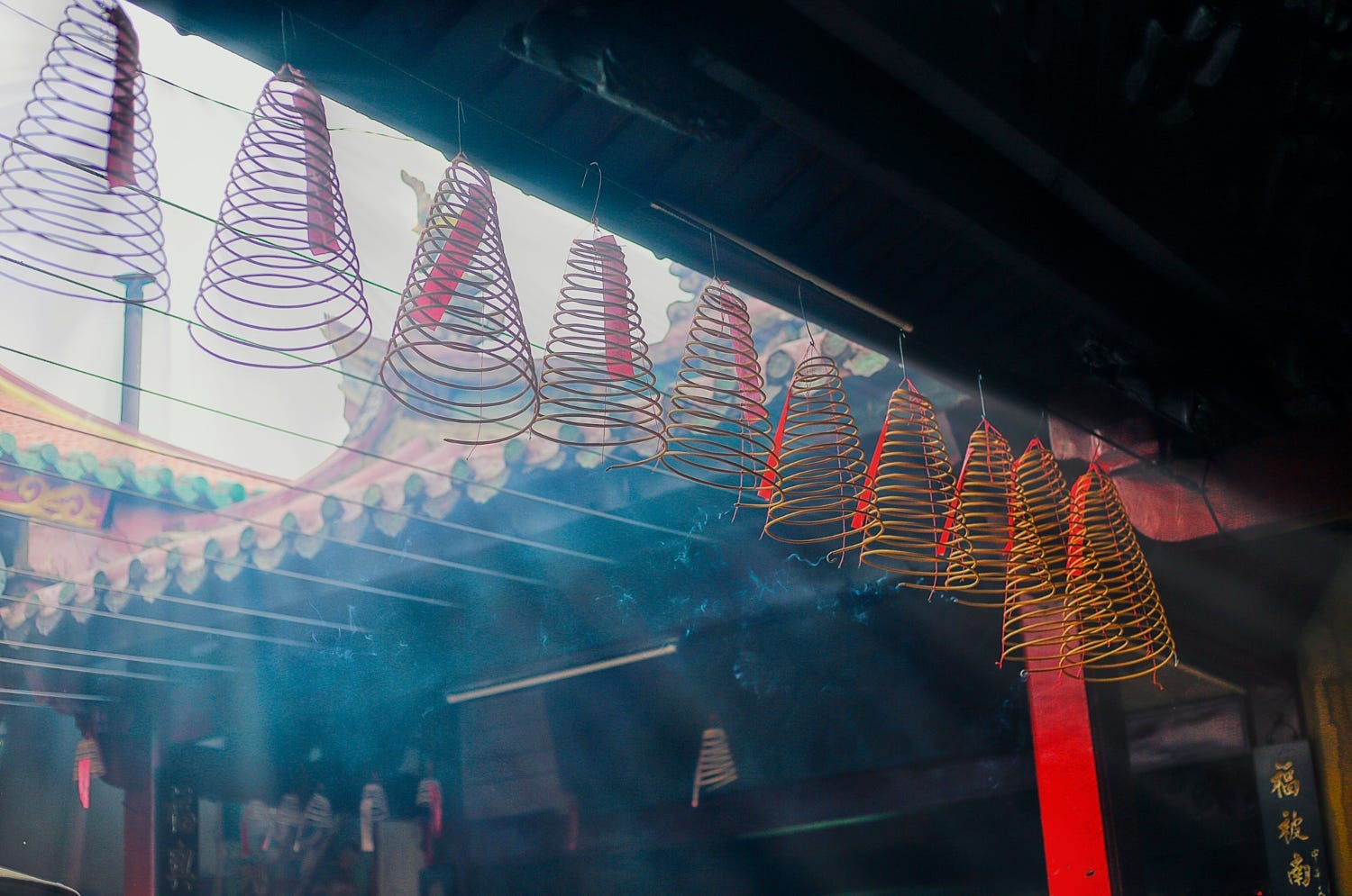 mytour.vn ảnh 1 mytour.vn anh 1