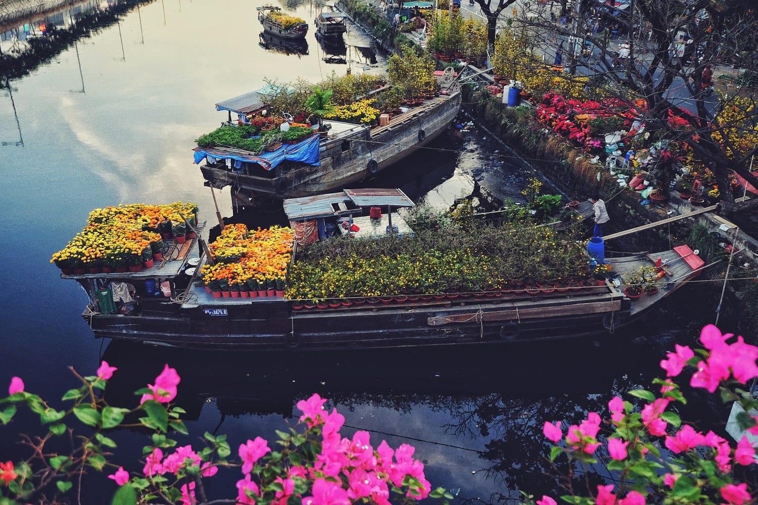 mytour.vn ảnh 5 mytour.vn anh 5