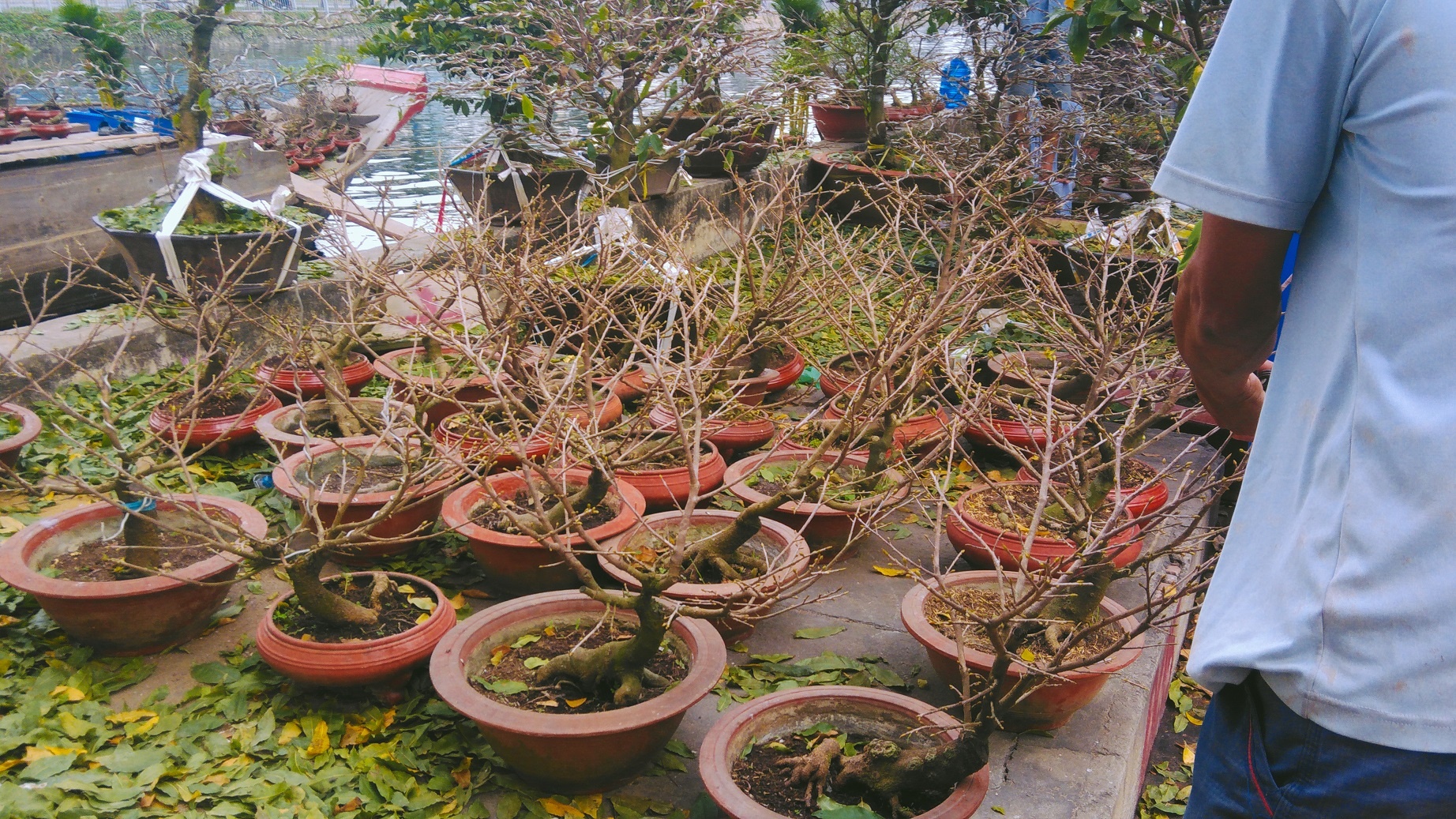 Asus ZenFone 3 Max 5.5 anh 8