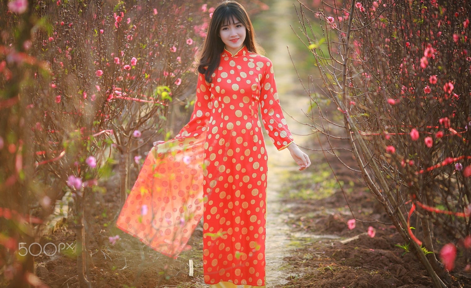 mytour.vn ảnh 2 mytour.vn anh 2