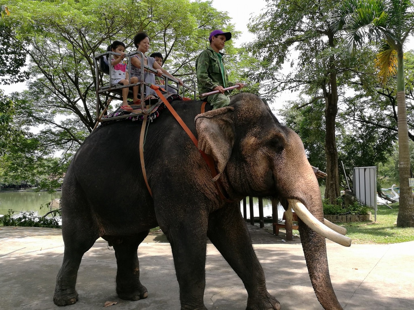 Vườn Xoài ảnh 8 Vuon Xoai anh 8