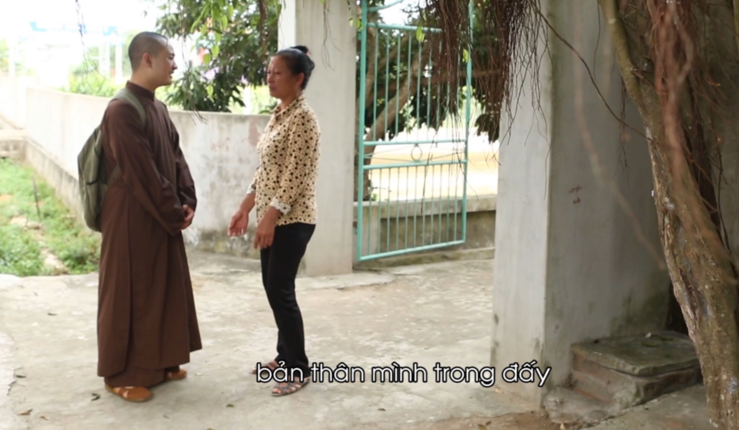 suc lan toa cua trao luu xin loi dip Tet Dinh Dau anh 1