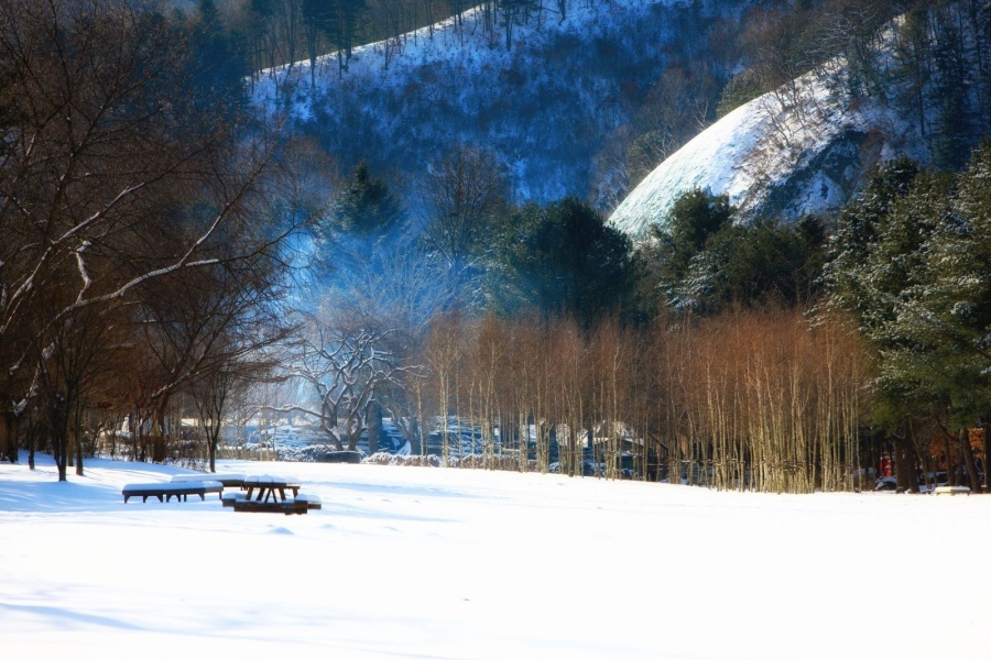 K-Drama Festa ảnh 3 K-Drama Festa anh 3