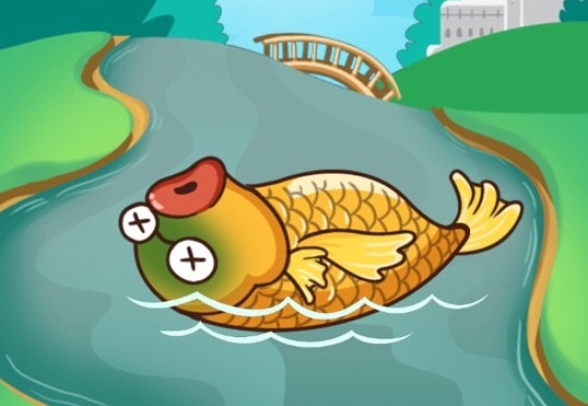 Ca chet, thuc pham ban duoc dua vao ‘Loc Tao Quan 2017’ hinh anh