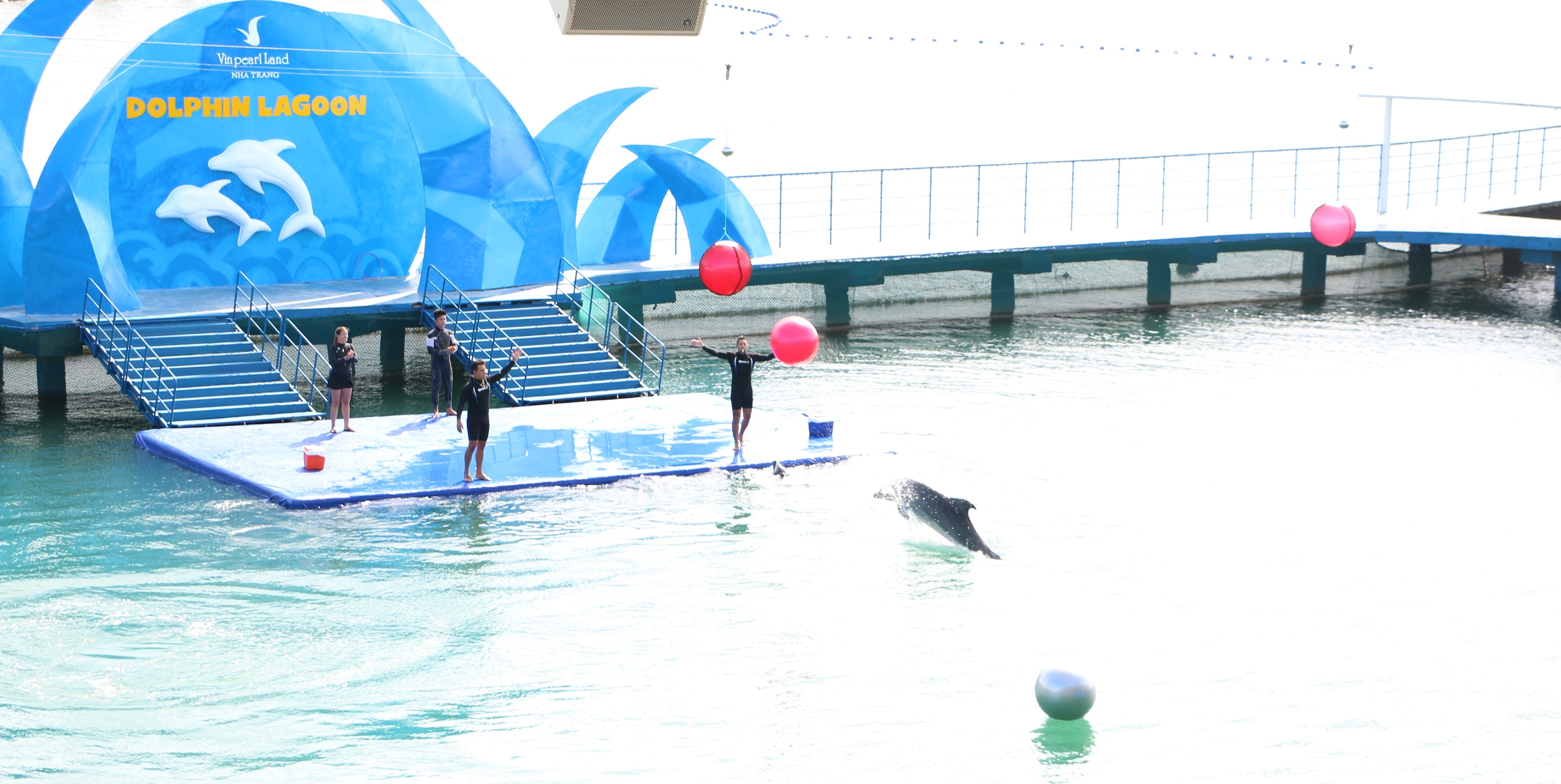 Vinpearl Land Nha Trang,  den long ca heo anh 3