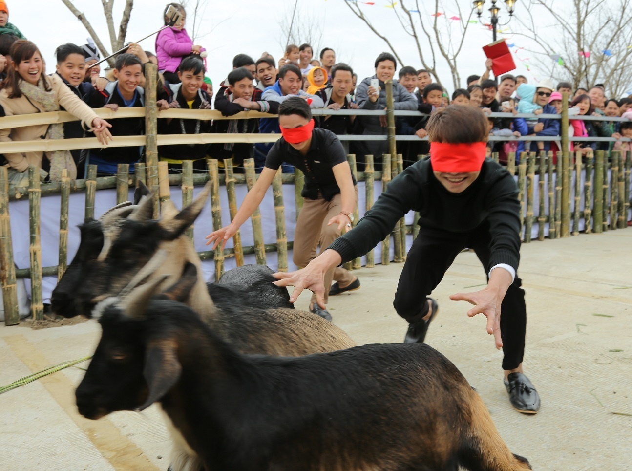 Tray hoi khen, hoa, don Tet tren dinh Fansipan hinh anh