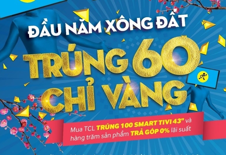 Nhieu uu dai cho khach xong dat Dien may Xanh hinh anh