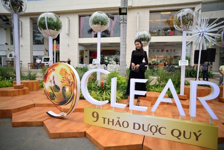 Clear Thảo Dược ảnh 3 Clear Thao Duoc anh 3
