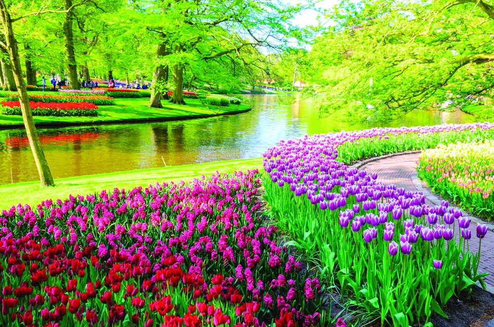 rung hoa khap noi tren the gioi anh 3