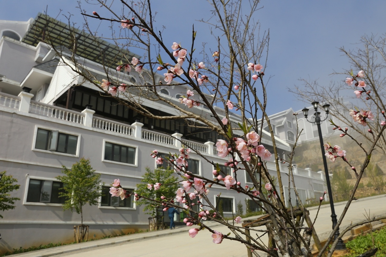 Fansipan Legend anh 2