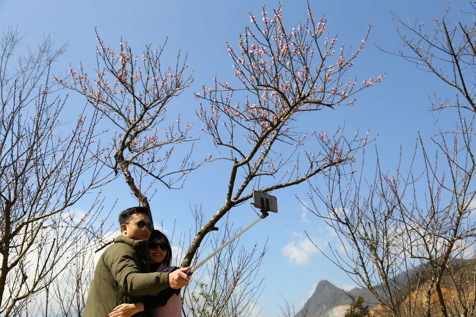 Fansipan Legend anh 7