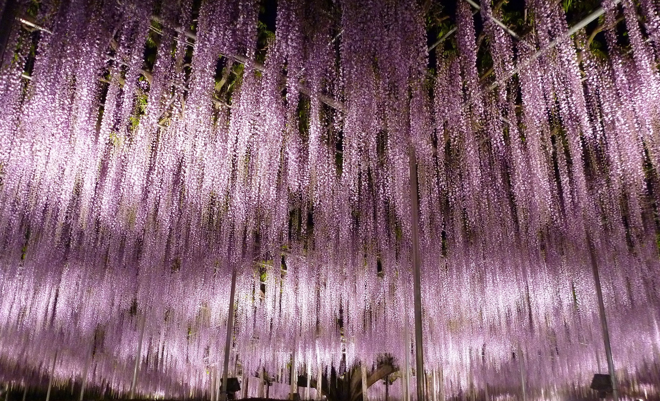 Tobu Railway ảnh 1 Tobu Railway anh 1