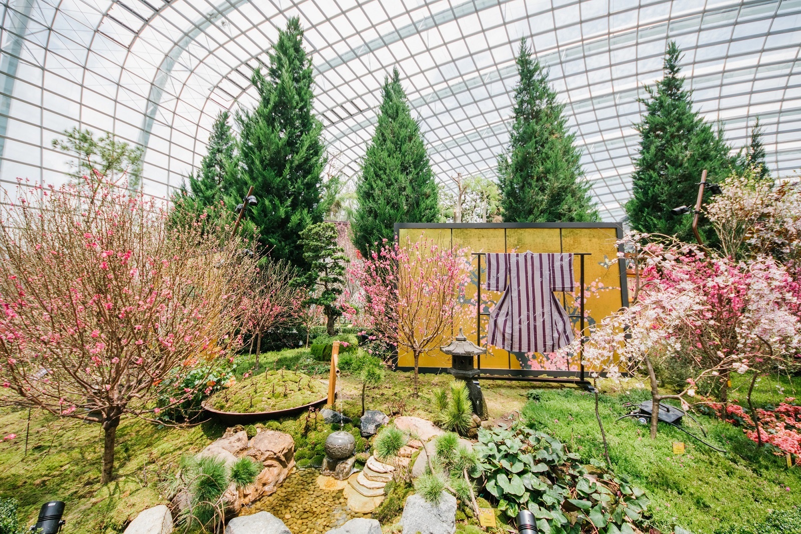 uu dai cua the len may bay Singapore Airlines anh 1