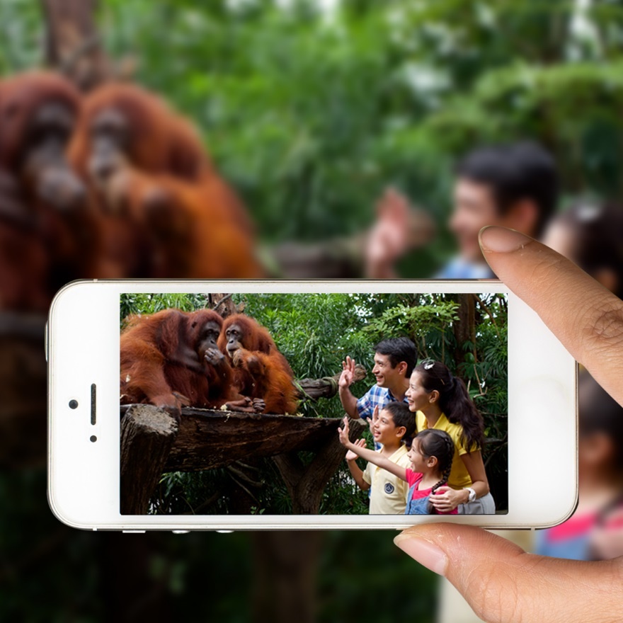 Vietravel ảnh 2 Vietravel anh 2