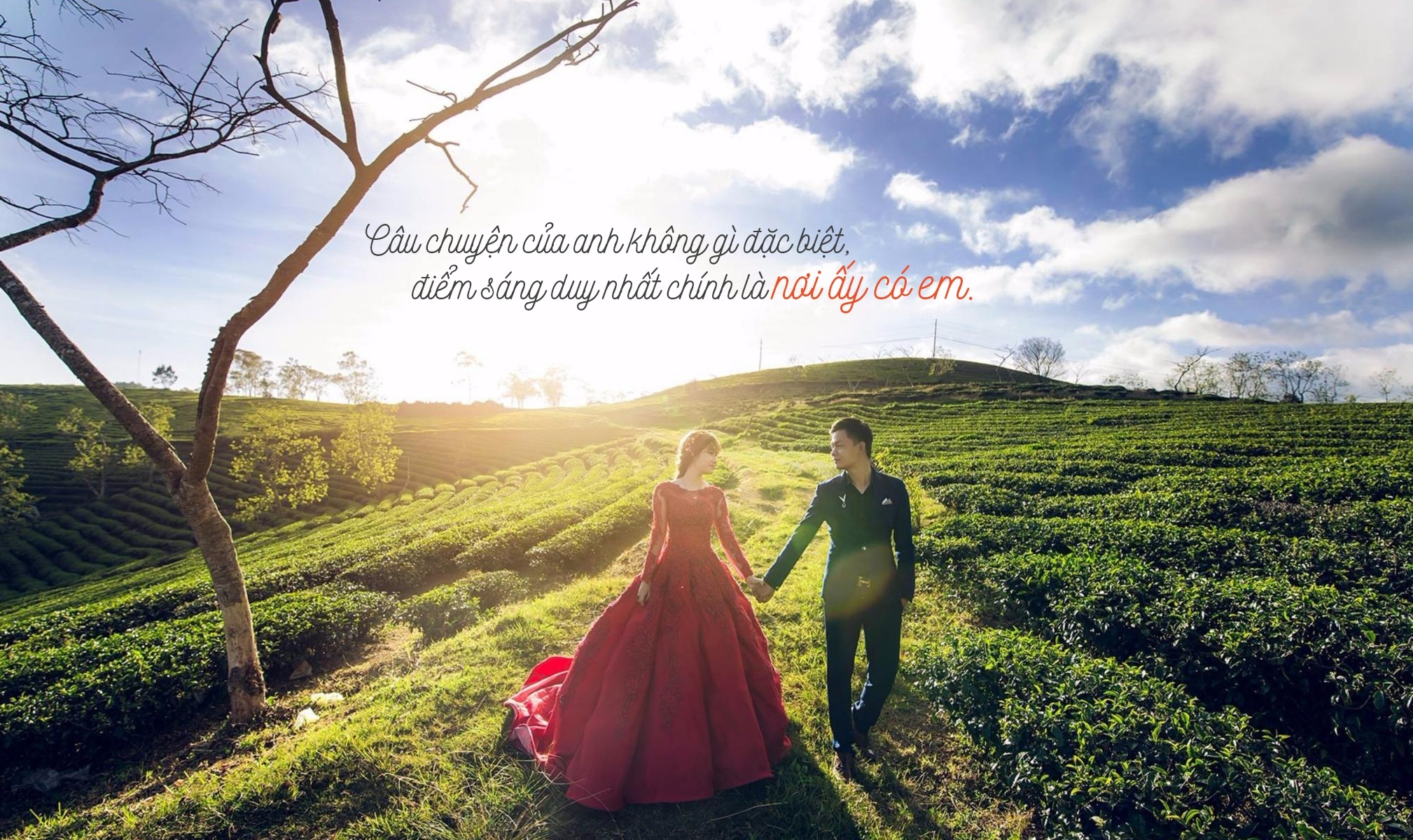 Biti's Di va Yeu anh 6