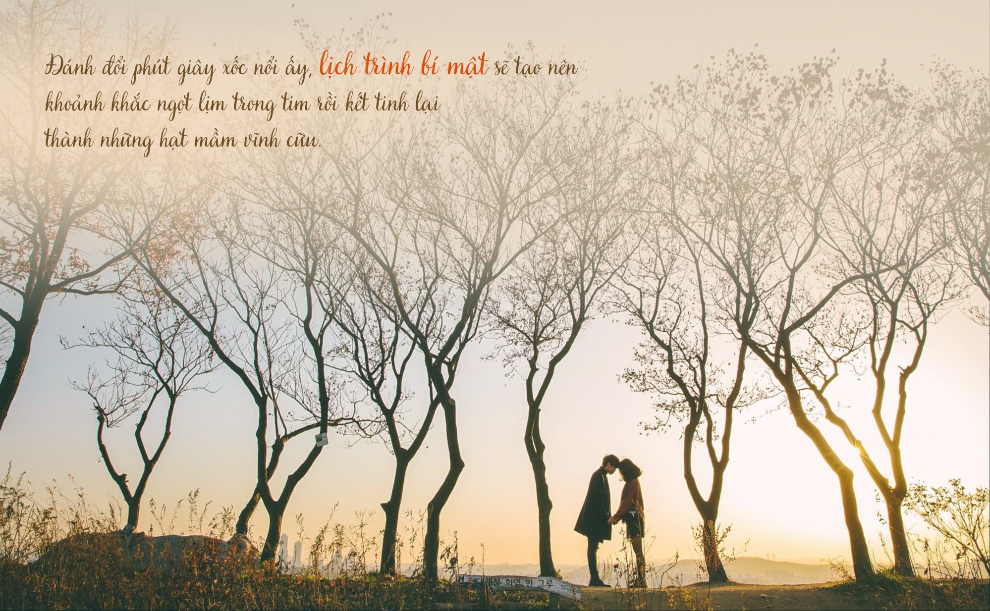 Biti's Đi và Yêu ảnh 1 Biti's Di va Yeu anh 1