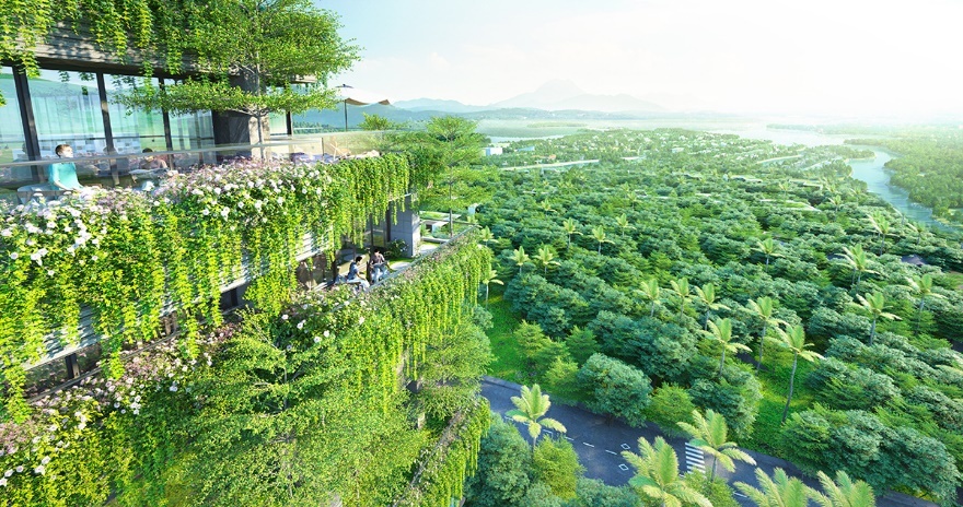 Forest In The Sky anh 2