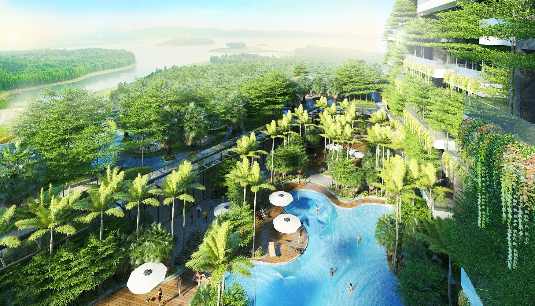 Flamingo Dai Lai tang 1 kg vang khi mua Forest In The Sky hinh anh