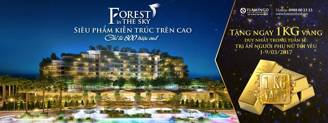 Forest In The Sky anh 4