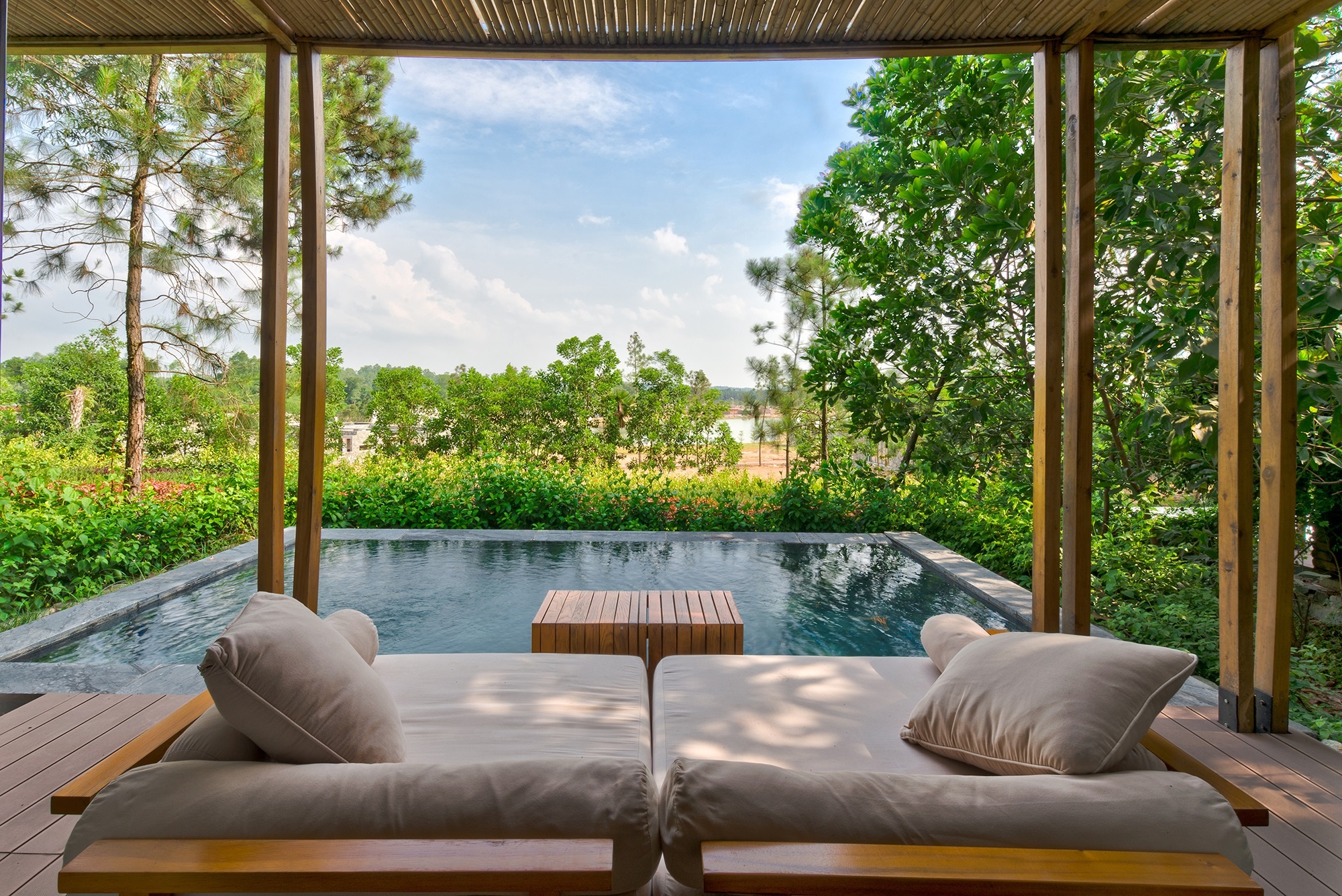 Flamingo Dai Lai anh 2