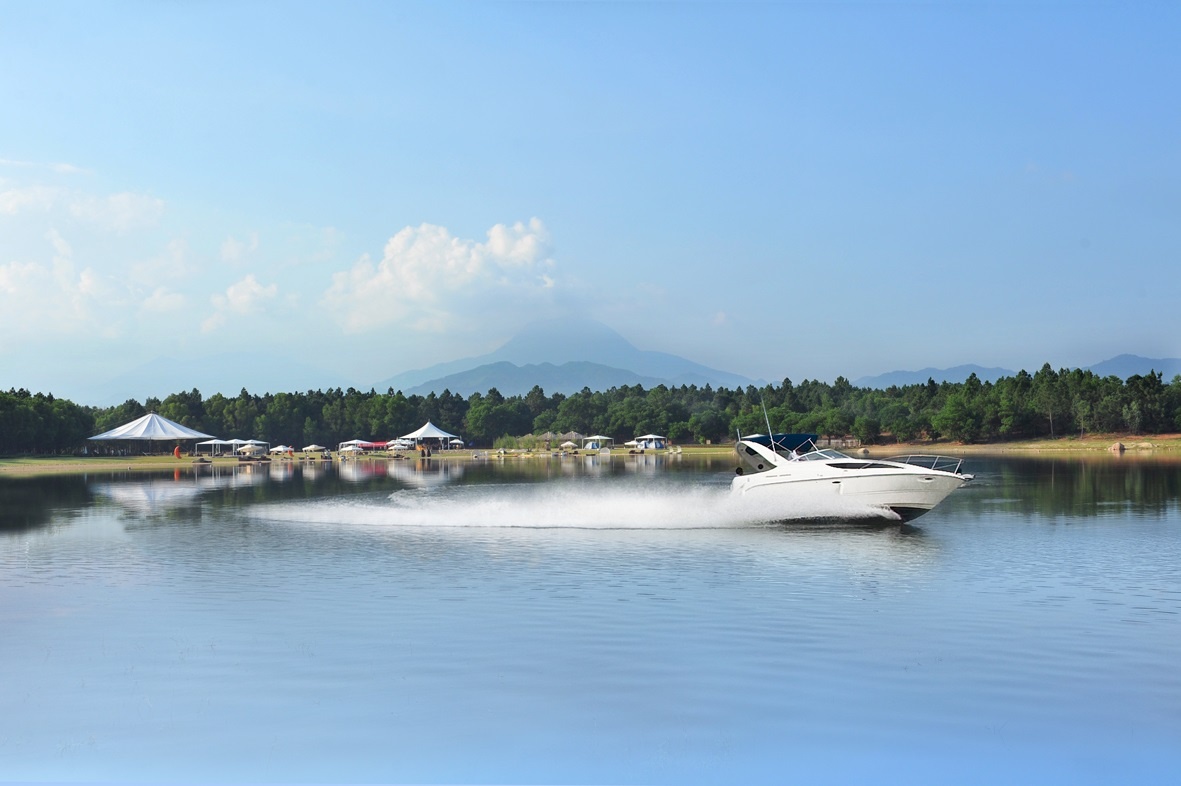 Flamingo Dai Lai anh 6