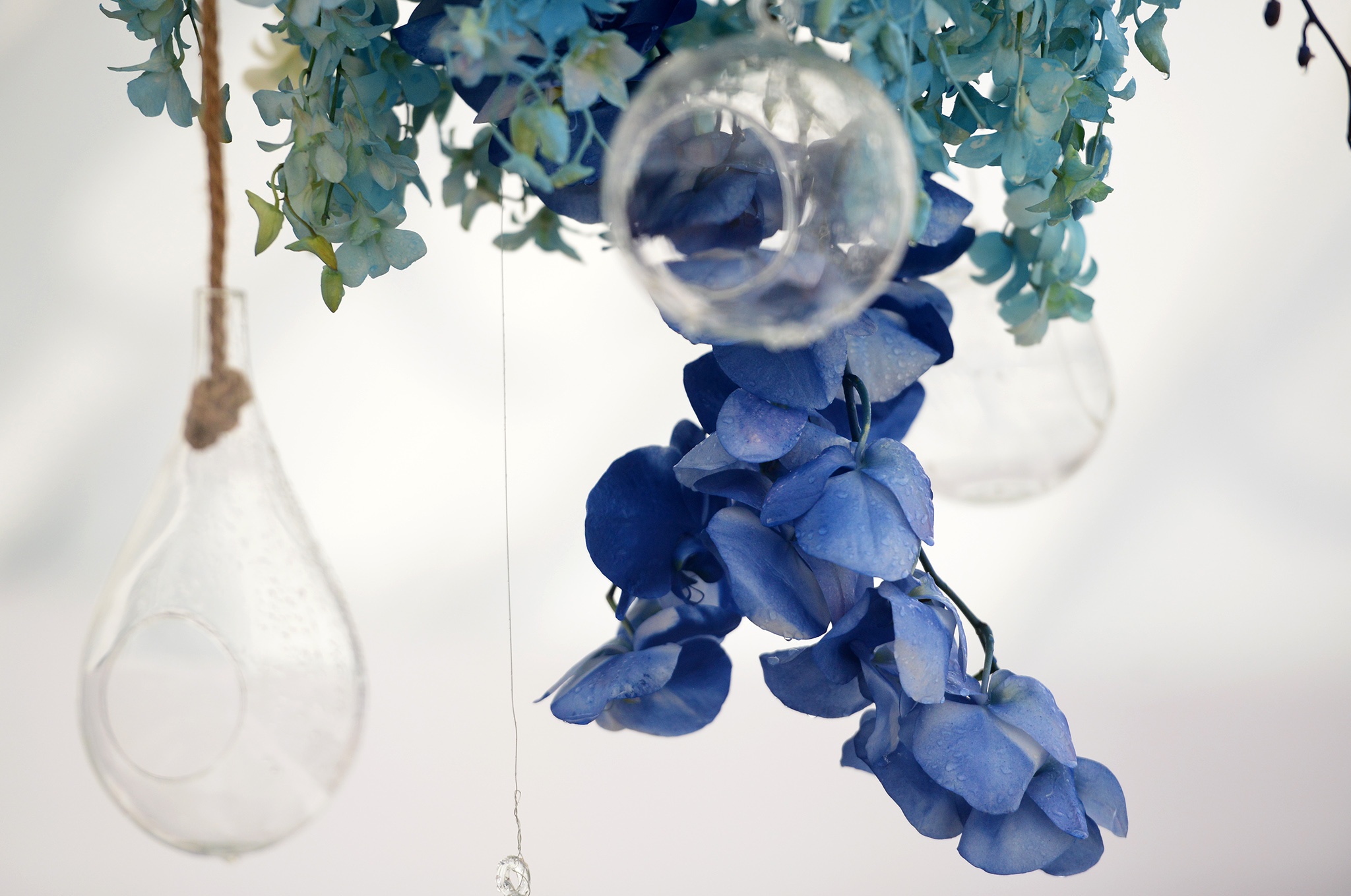 He lo nhung hinh anh dau tien ve 'Vuon ngan hoa ben ho' hinh anh