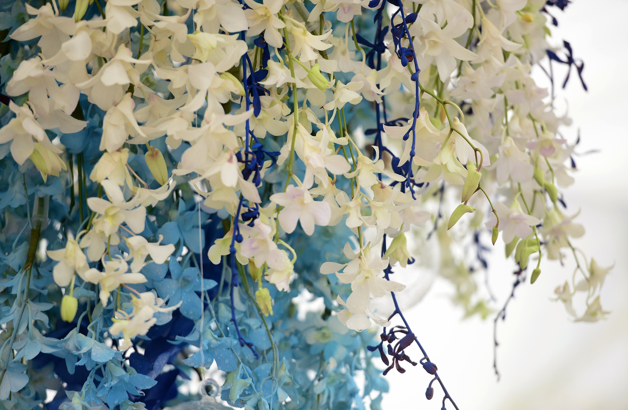 hinh anh dau tien ve Vuon ngan hoa ben ho anh 12