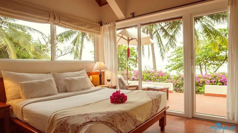 Giai ma 5 ly do cong dong xe dich chuong dat phong qua ung dung hinh anh