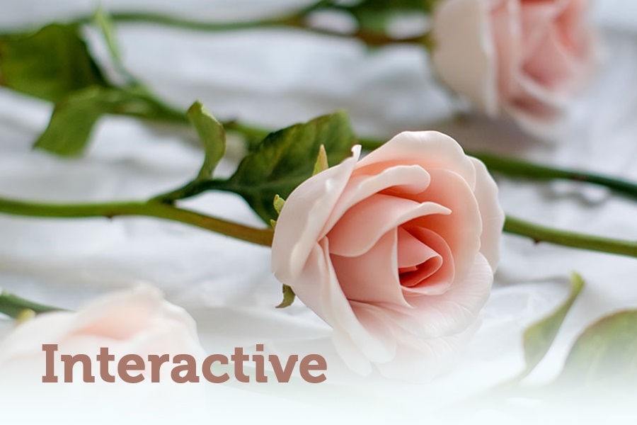 Sao Viet gui loi yeu thuong den mot nua the gioi hinh anh