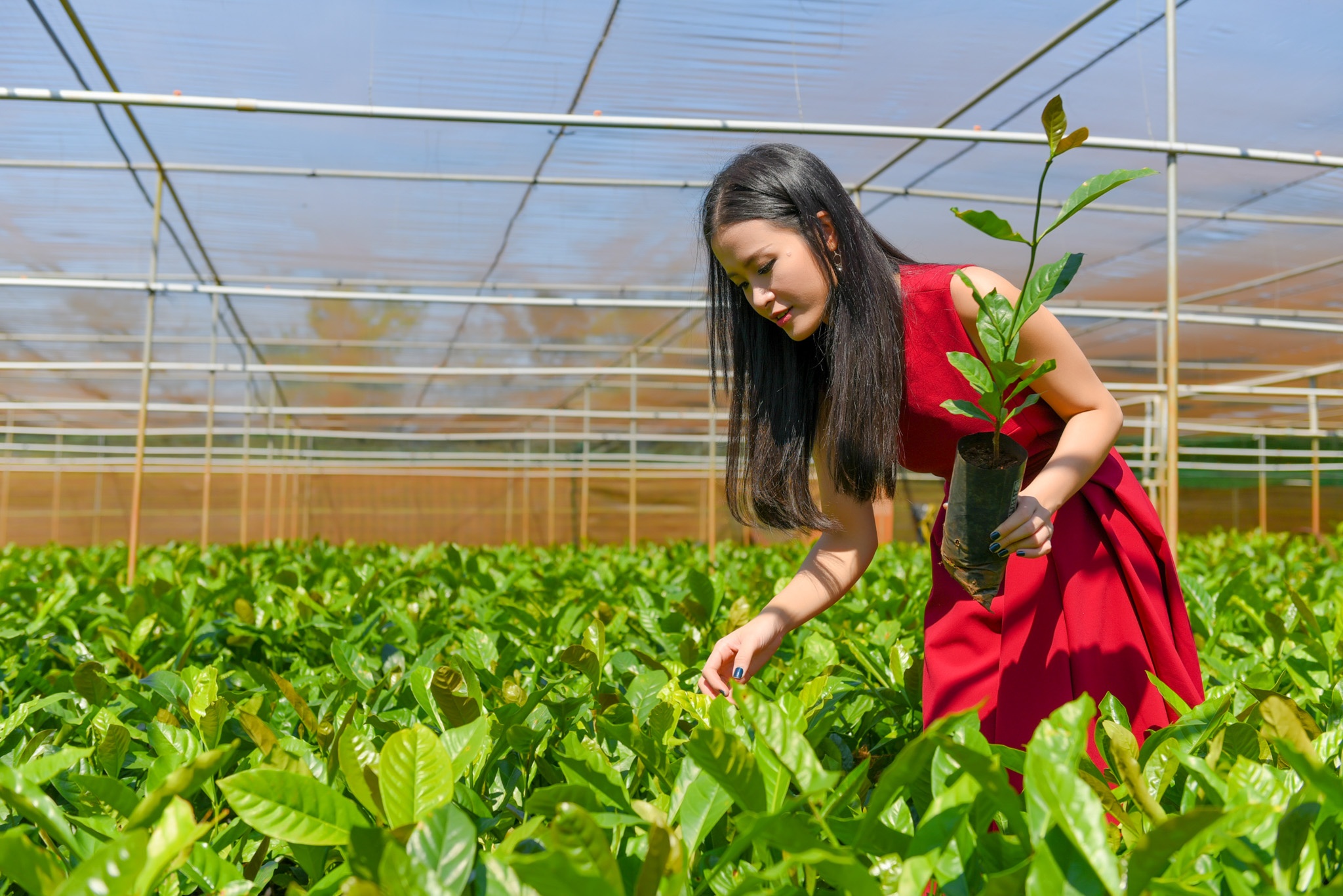Dong Nhi: 'Toi thich thu khi tro thanh nong dan tai vuon ca phe' hinh anh