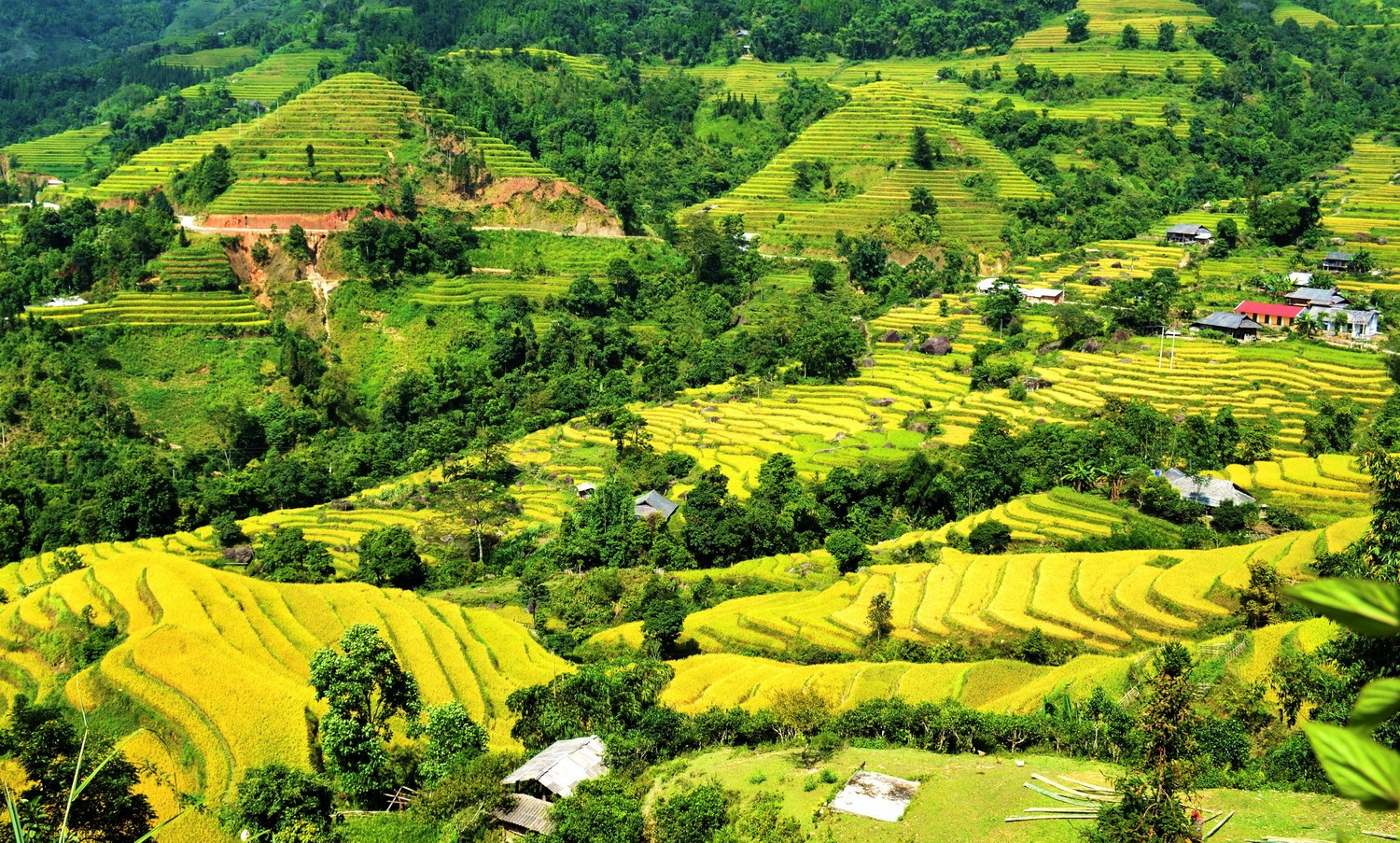 Ngay hoi 'He sac mau - Hanh trinh ruc ro' voi nhieu tour uu dai lon hinh anh
