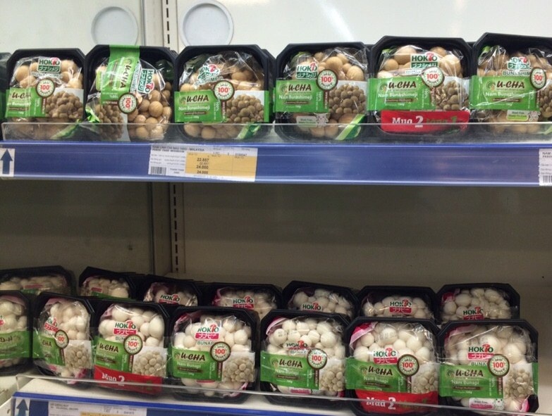 Công ty phân phối nấm Biovegi ảnh 1 Cong ty phan phoi nam Biovegi anh 1