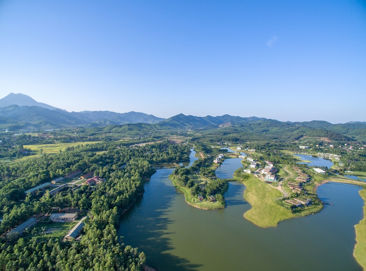 Flamingo Dai Lai anh 1