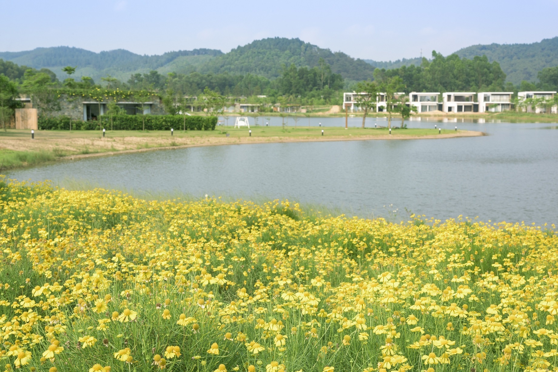 Flamingo Đại Lải ảnh 4 Flamingo Dai Lai anh 4
