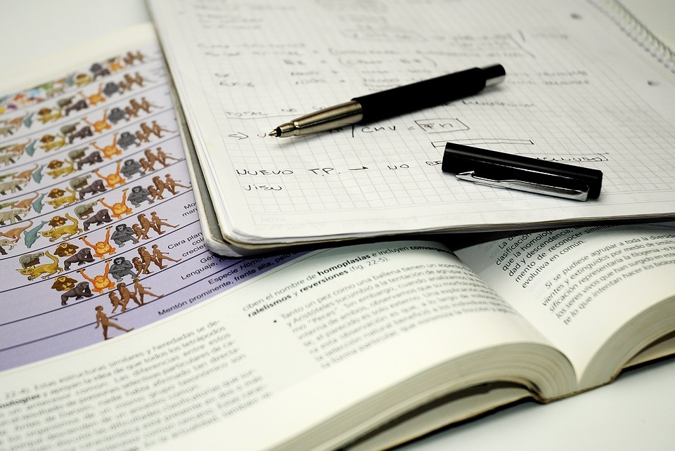 IvyPrep  ảnh 1 IvyPrep anh 1