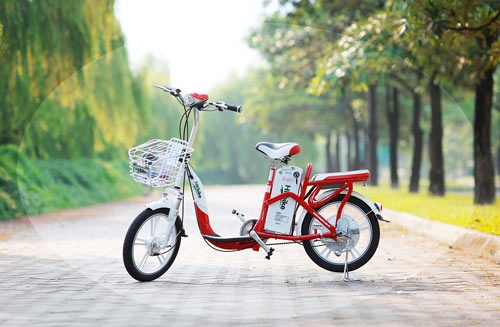 PEGA (HKbike) ky vong chiem 30% thi phan xe dien Viet Nam nam 2017 hinh anh