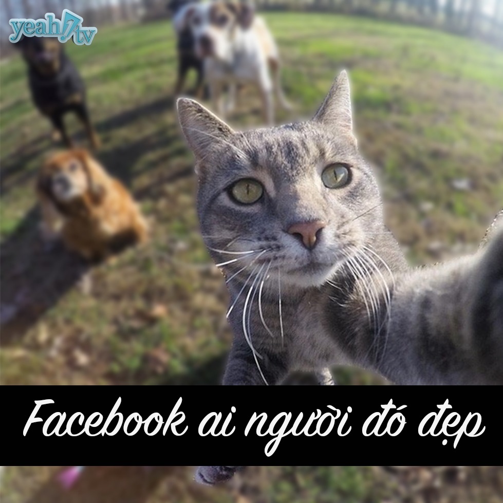 anh selfie hai huoc anh 5