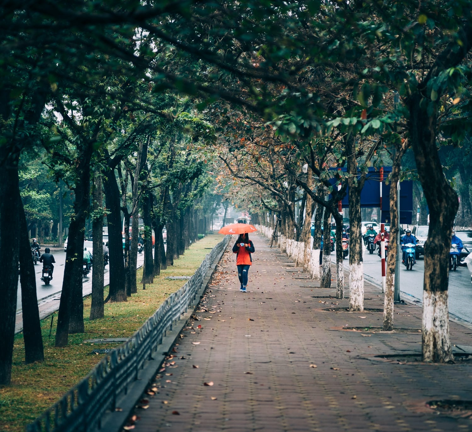 Mytour Việt Nam ảnh 1 Mytour Viet Nam anh 1