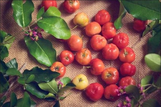 phu nu Nhat va phuong Tay thich an so ri Viet Nam anh 1