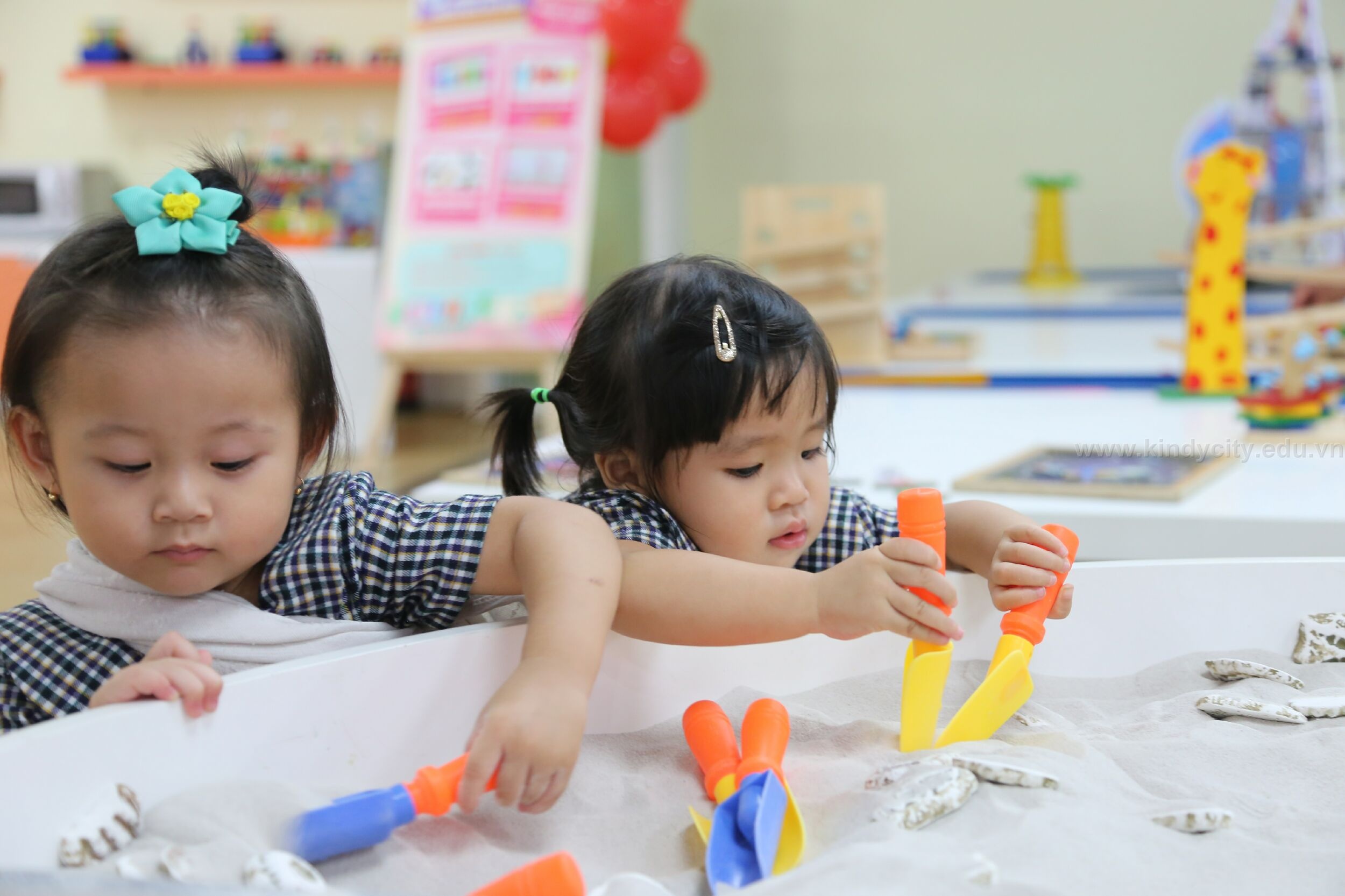 Kindy City anh 1