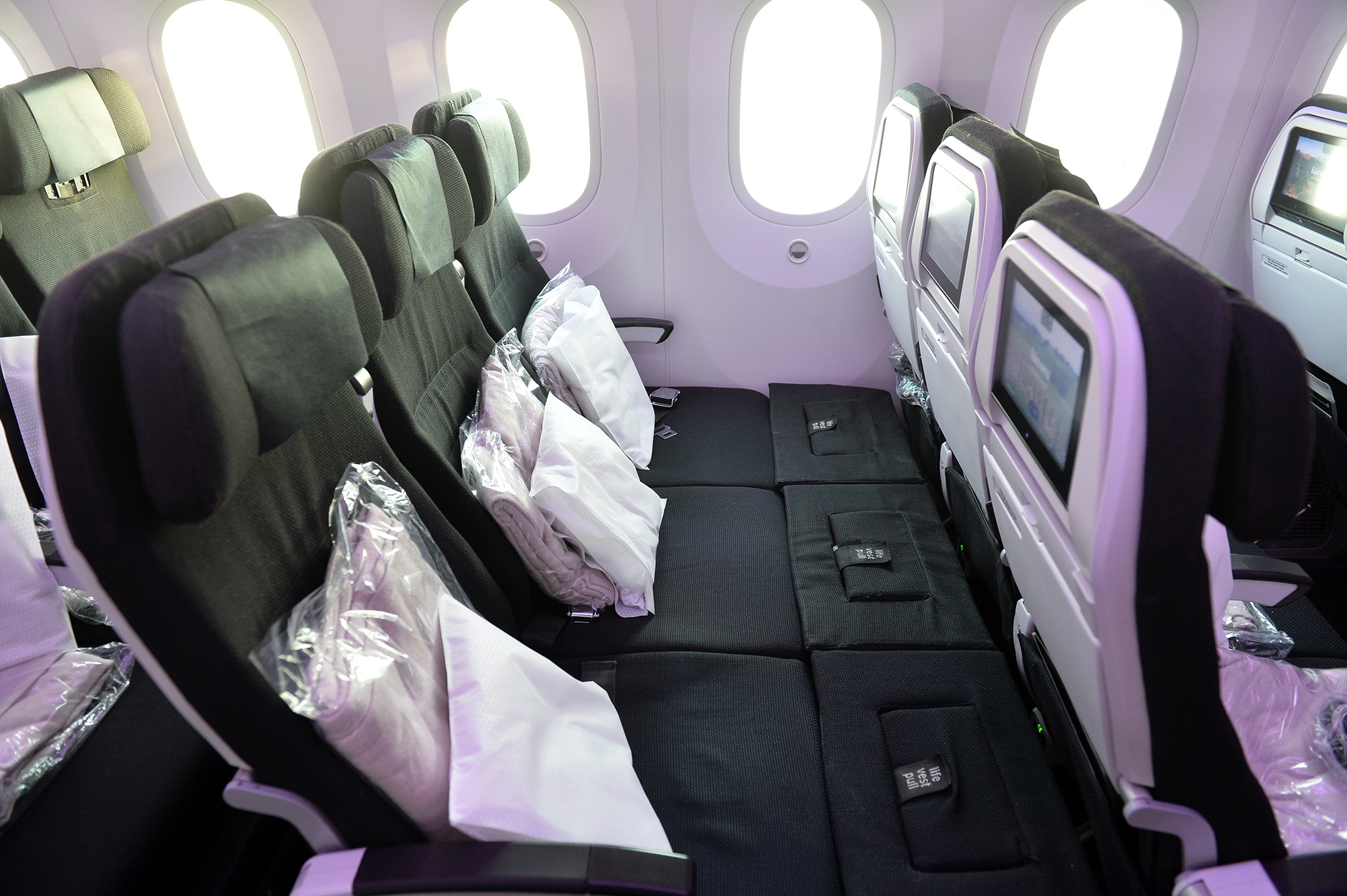 Air New Zealand anh 3