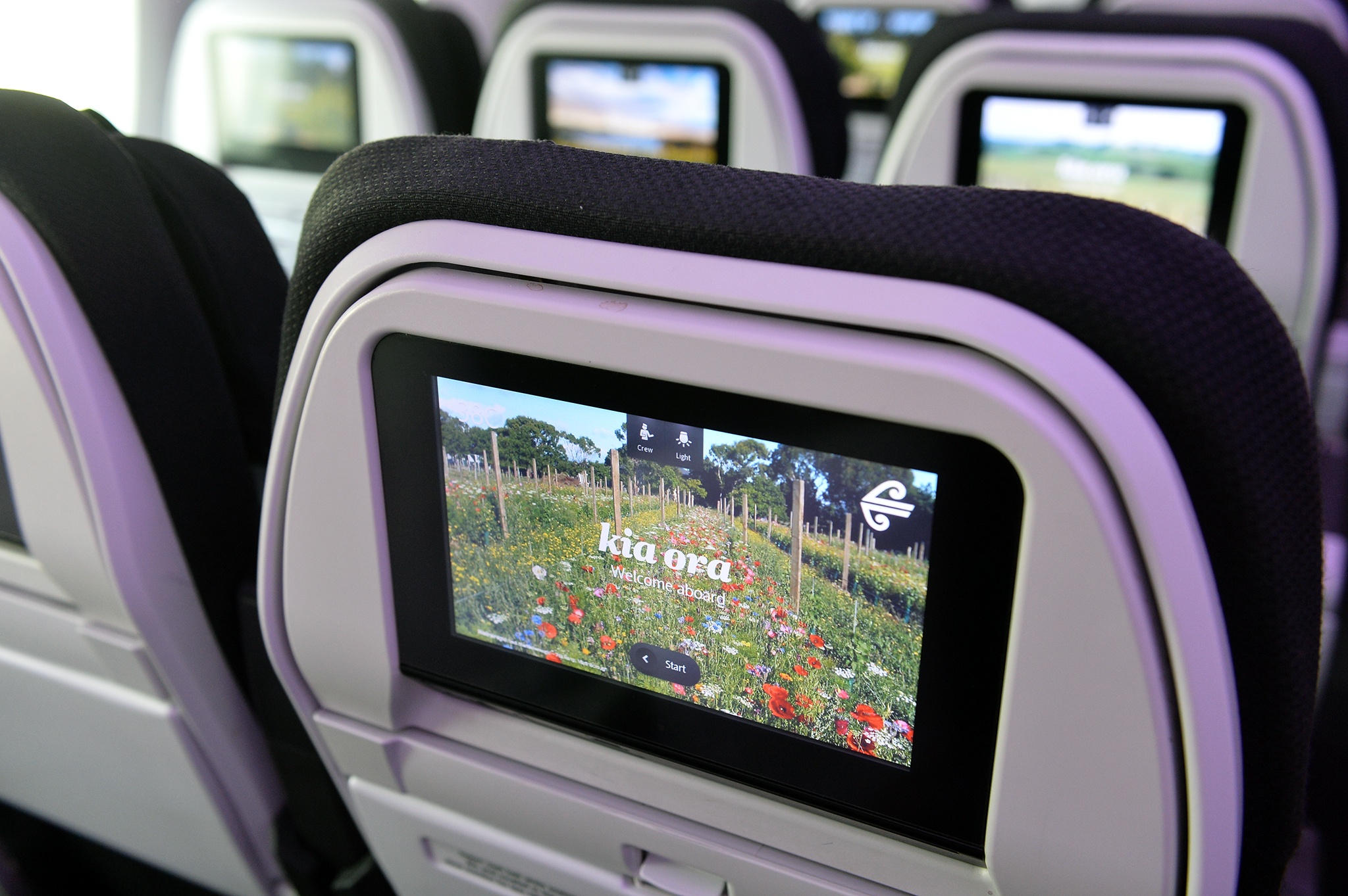 Air New Zealand anh 6