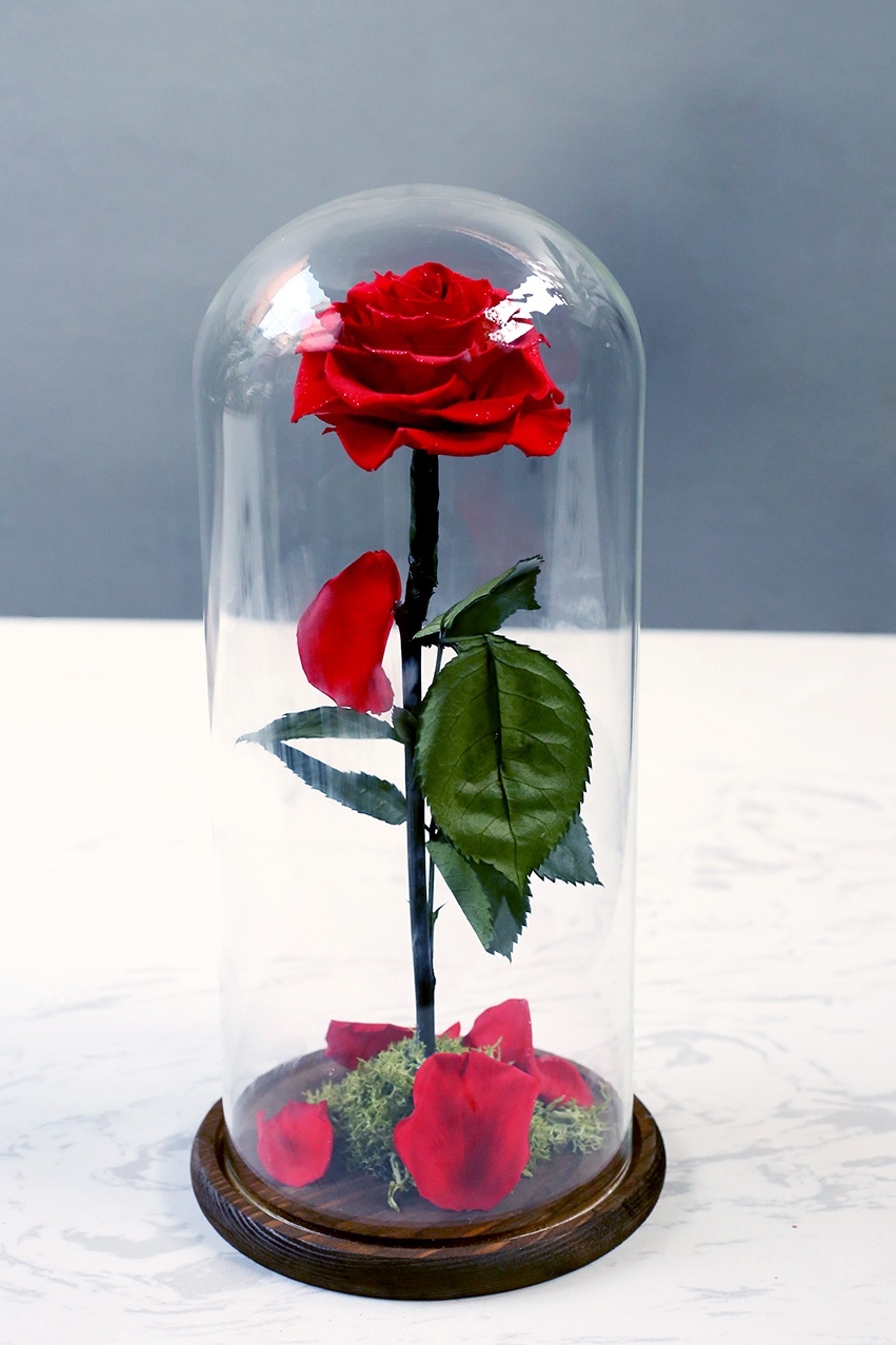 Veromica Decor anh 2