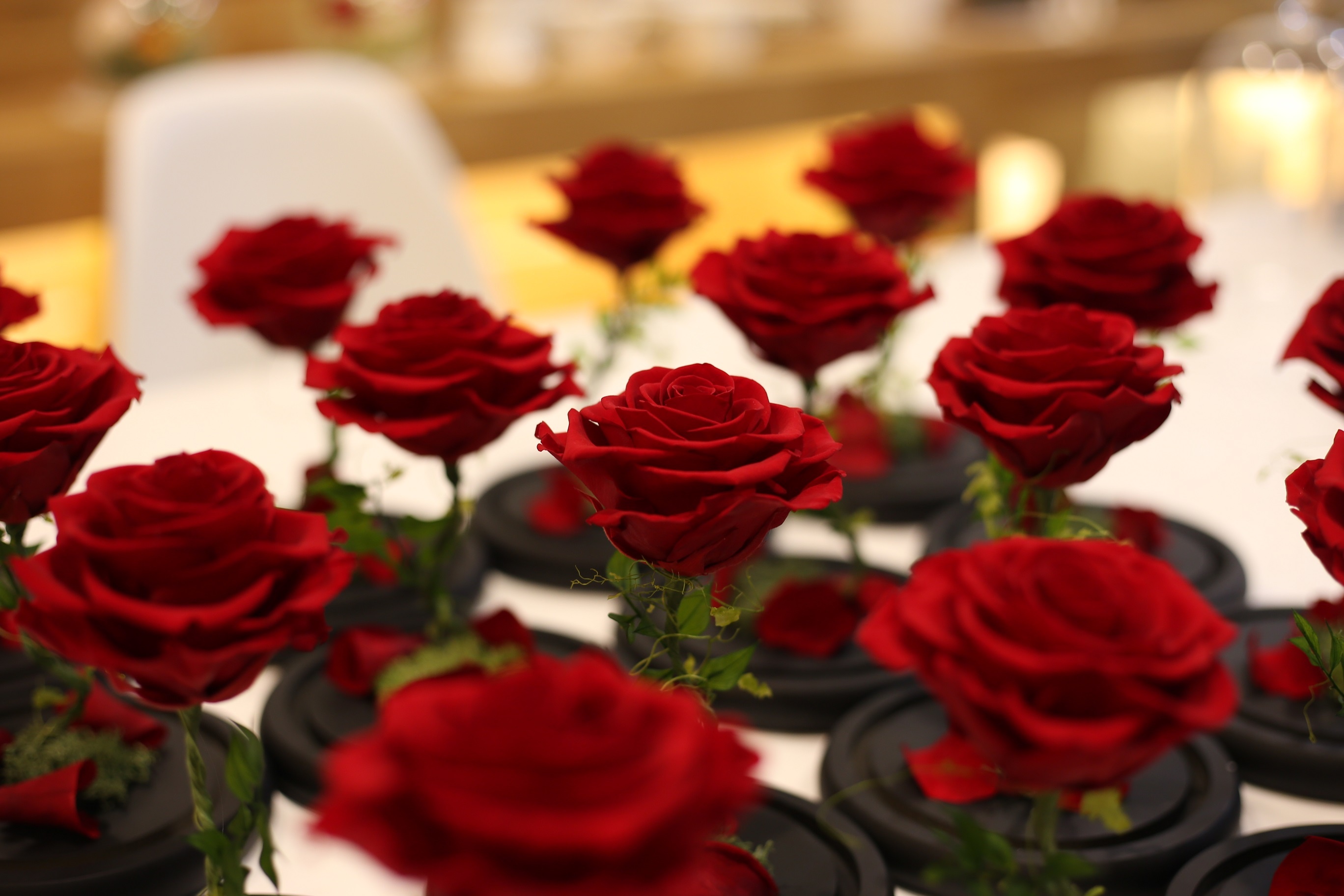 Veromica Decor anh 4